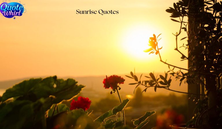 120+ Beautiful Sunrise Quotes for a Good Morning