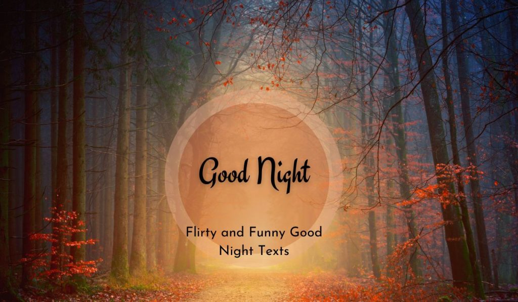 Flirty and Funny Good Night Texts