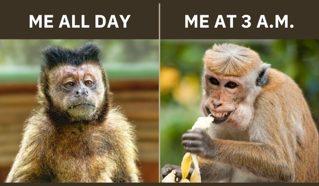 Funny Tuesday Quotes 