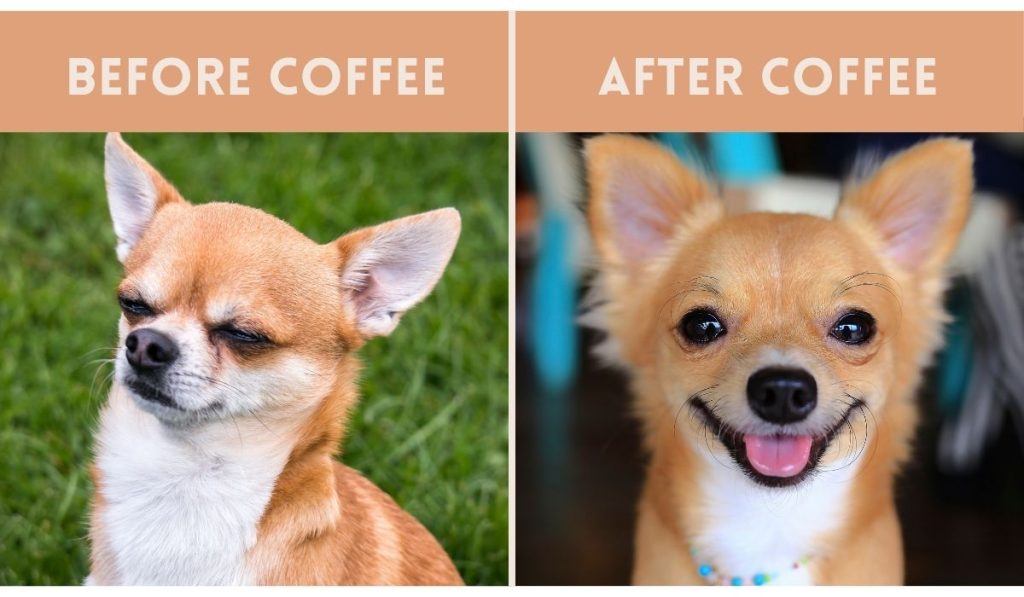 Funny Tuesday Quotes for Work 