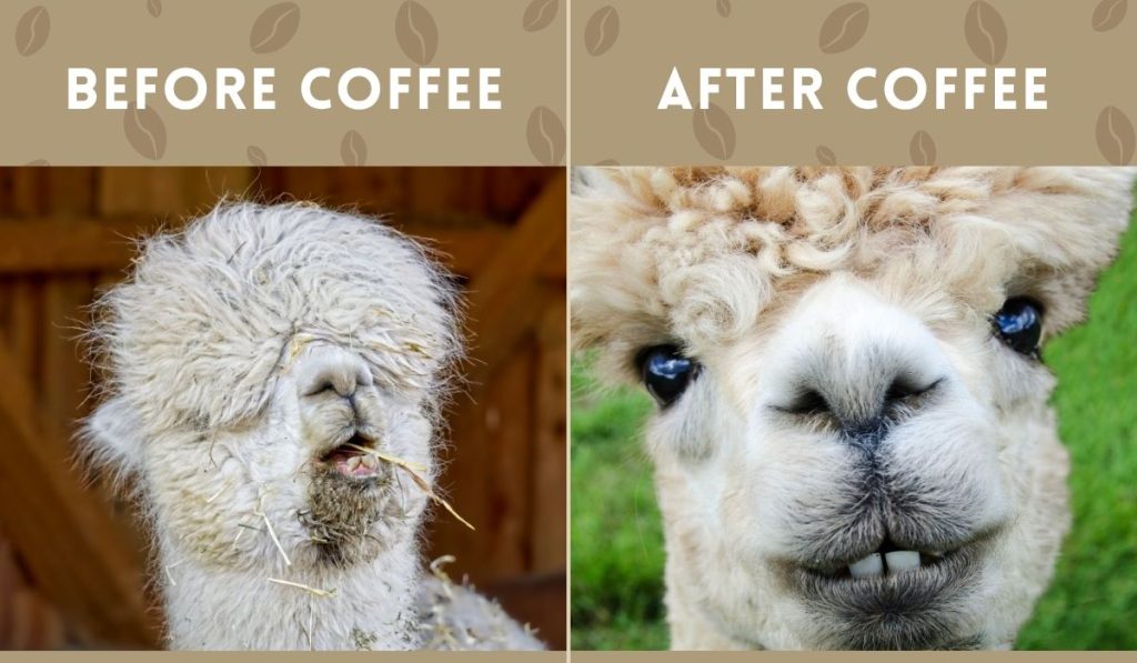 Funny Wednesday Quotes for Work