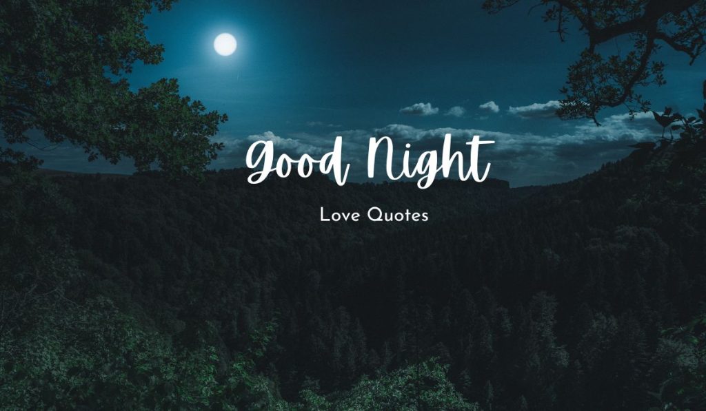 Good Night Love Quotes