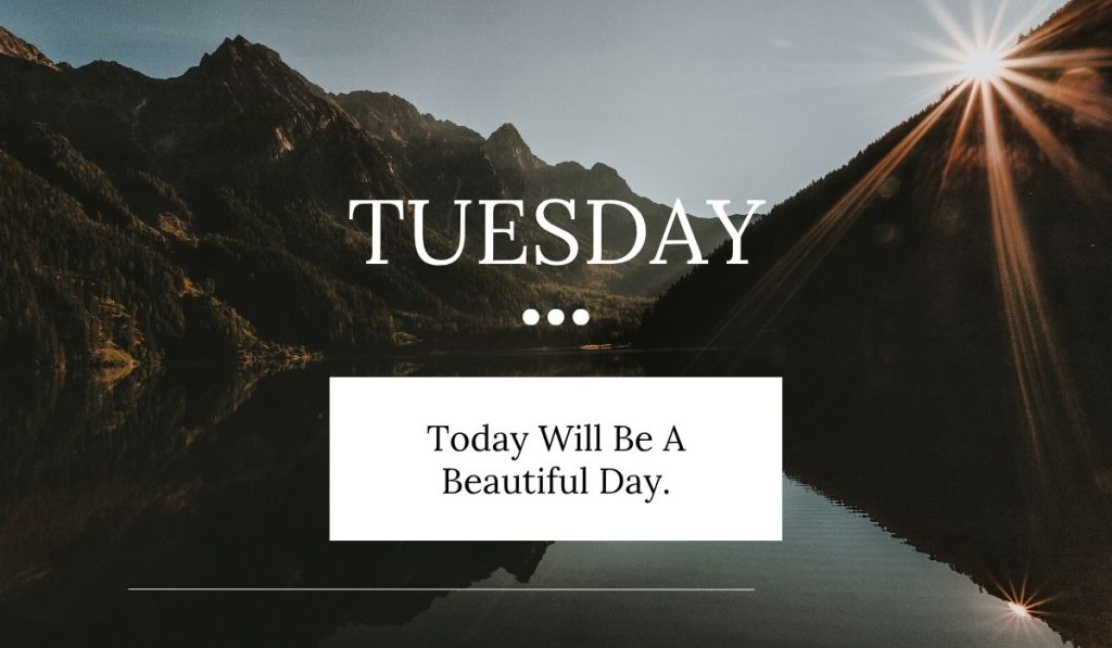 Happy Tuesday Quotes