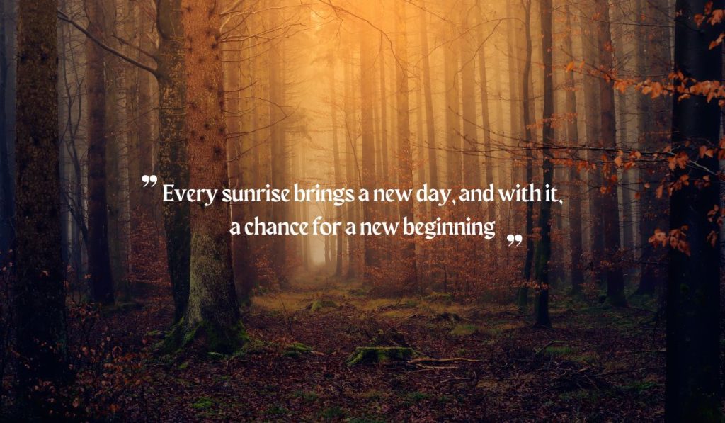 Positive Quotes for Wednesday