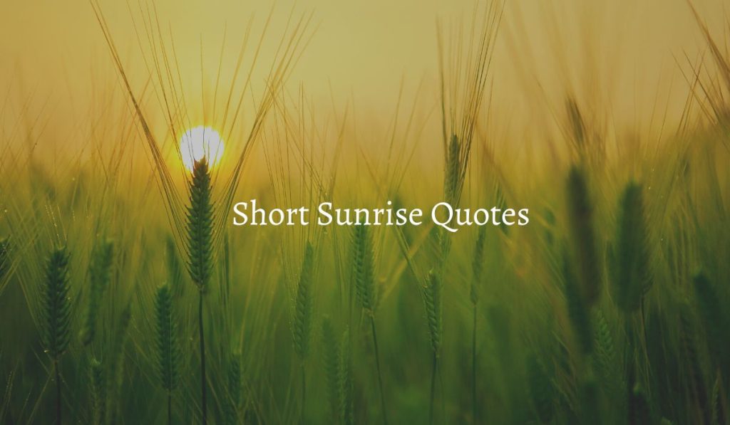 Short Sunrise Quotes