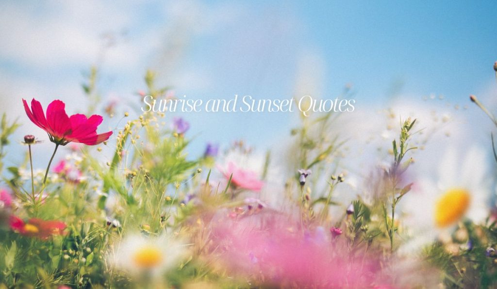 Sunrise and Sunset Quotes