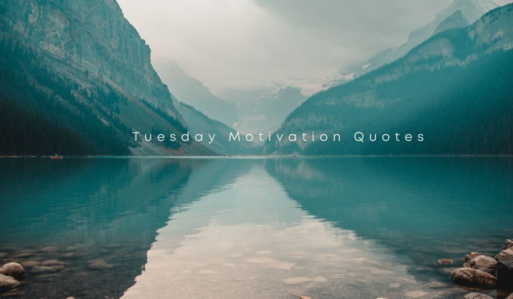 Tuesday Motivation Quotes