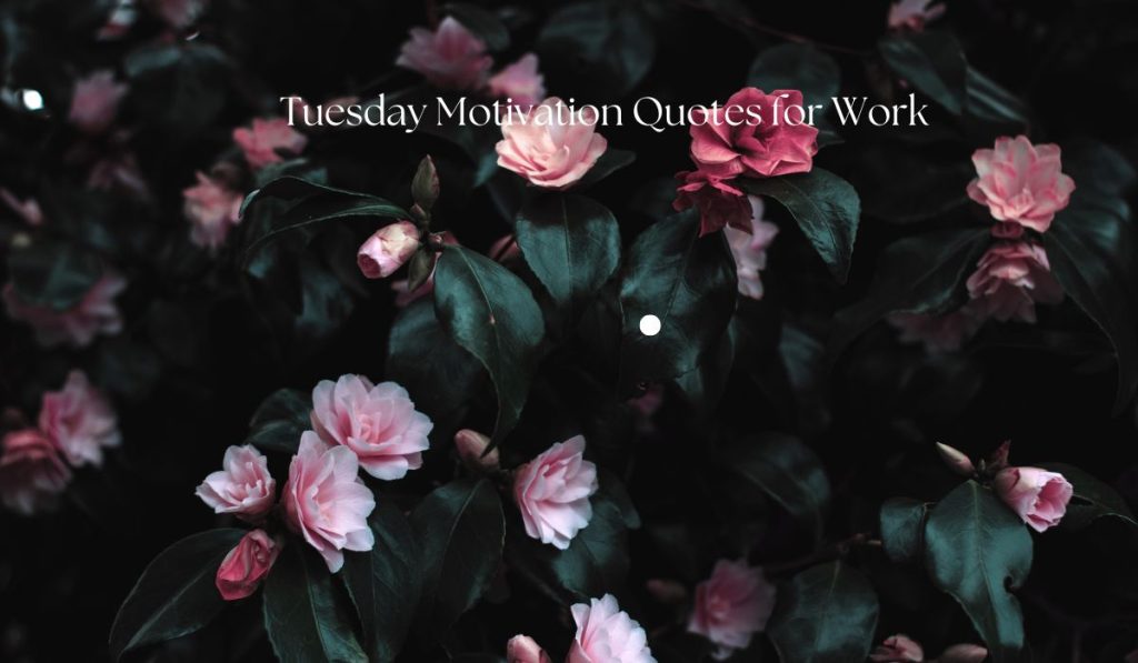 Tuesday Motivation Quotes for Work
